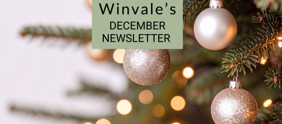 December 2025 newsletter (1)