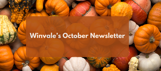 October 2024 newsletter  (1)