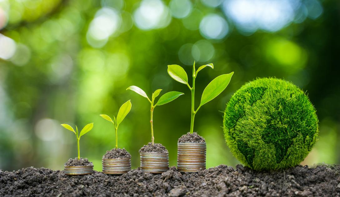 6 Reasons a GSA Multiple Award Schedule (MAS) Can Help Your Company’s Growth