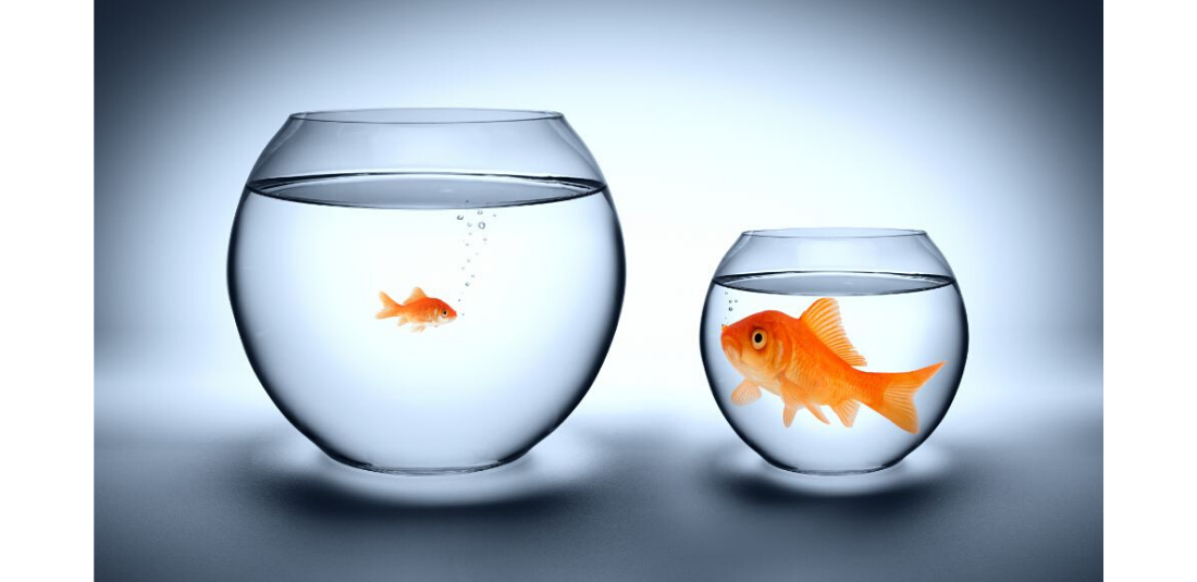 You May Now Qualify as a Small Business