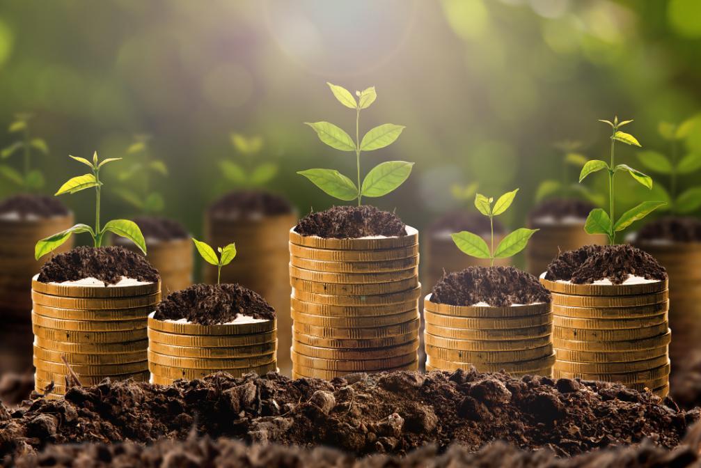 Doing Business with GSA: How to Set Your MAS Contract Up for Success