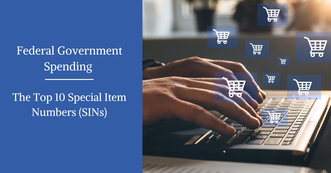 Federal Government Spending: The Top 10 Special Item Numbers (SINs)