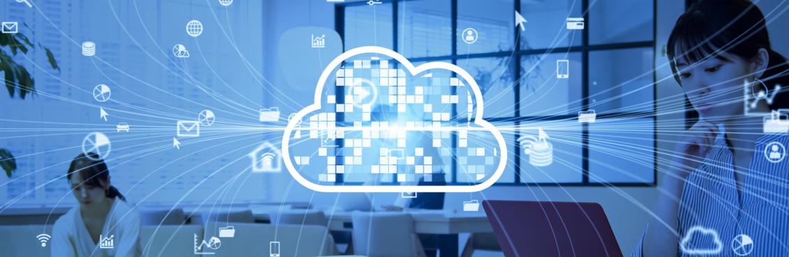 Software SINs vs. Cloud SINs
