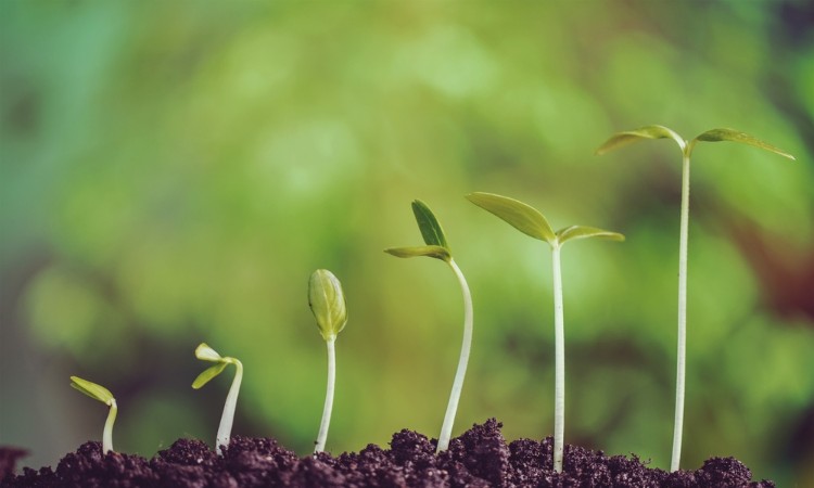 How to Grow Your Business with GSA Schedule Management