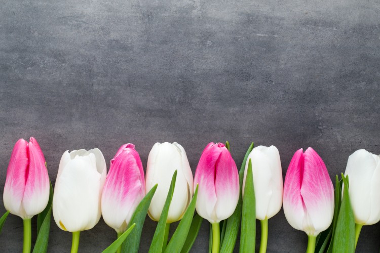 Spring into the new Sales Reporting Portal